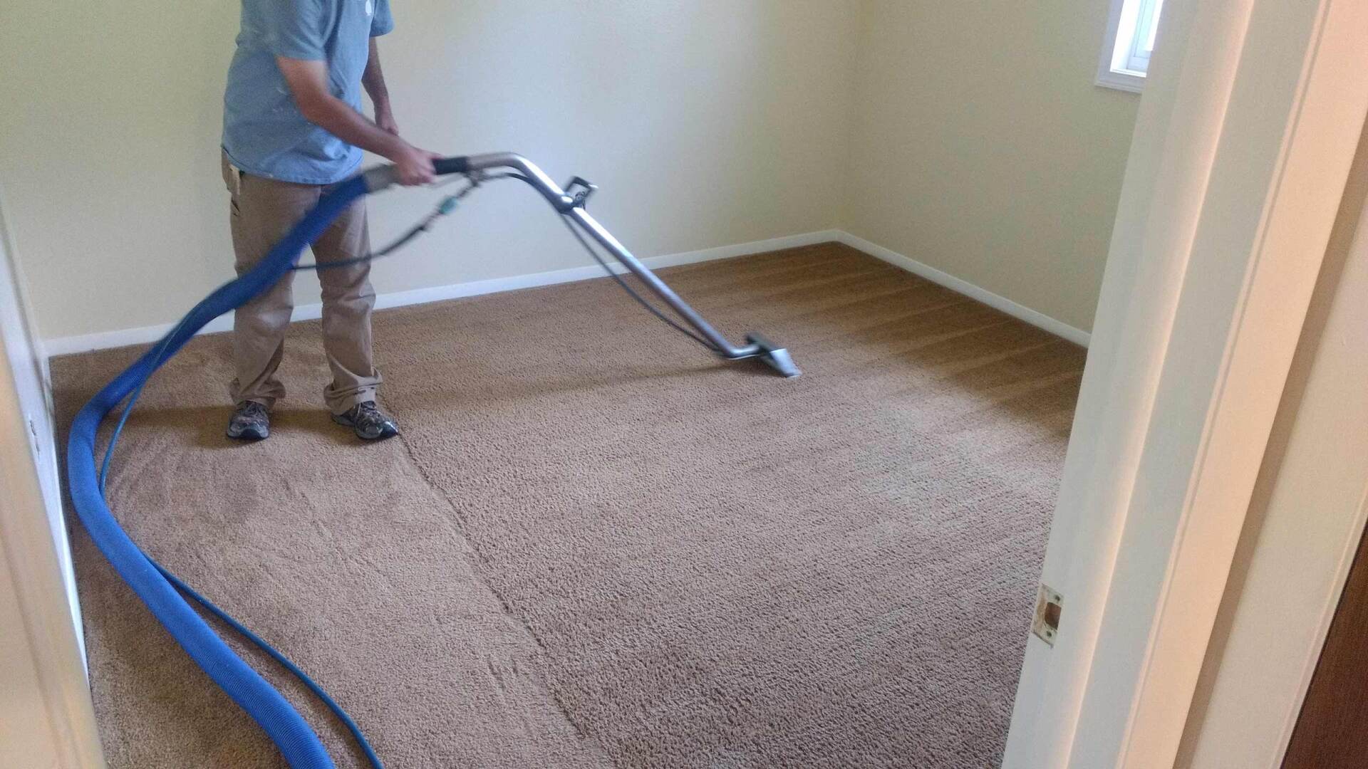 Carpet cleaning
