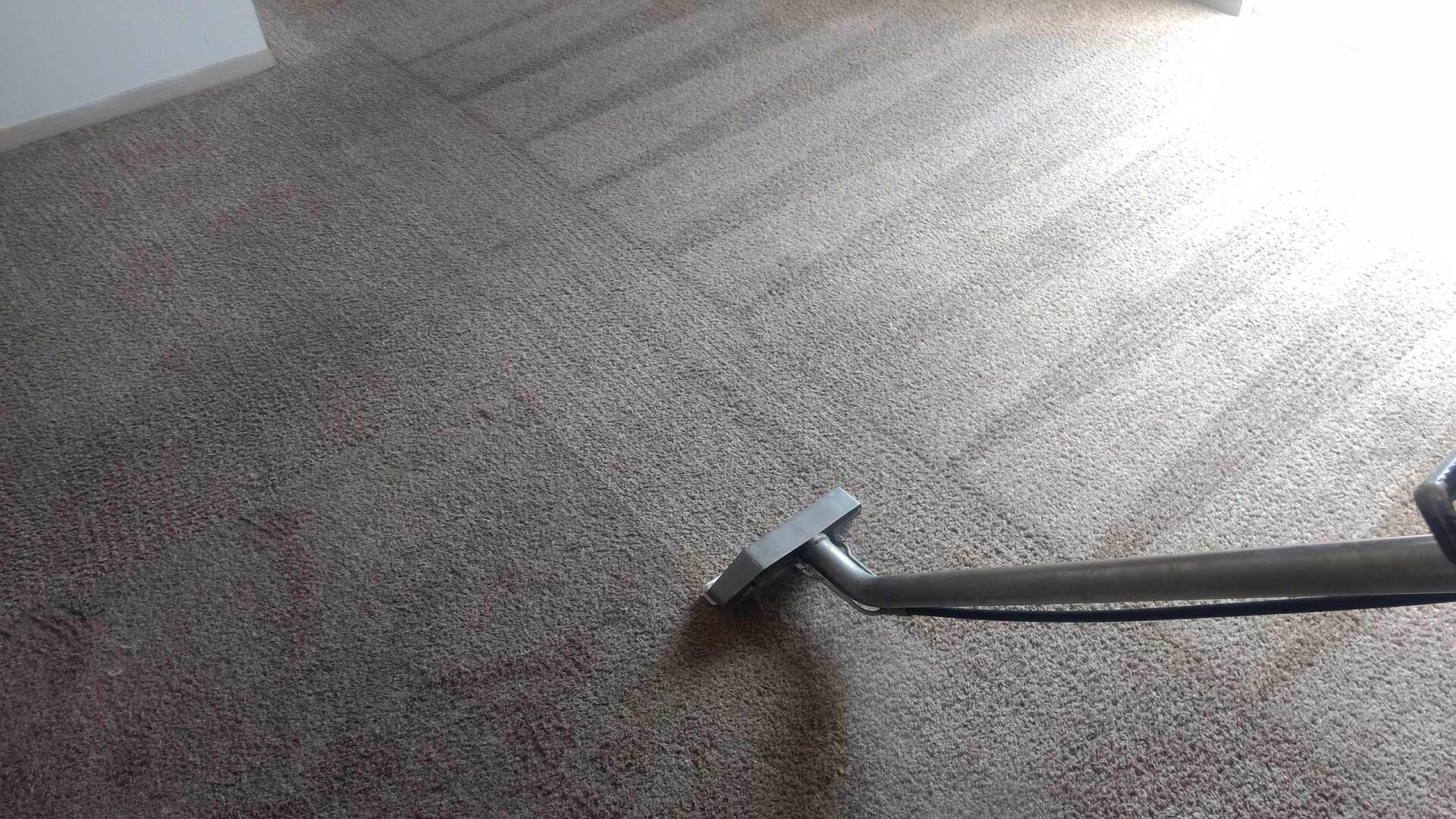 Carpet cleaning