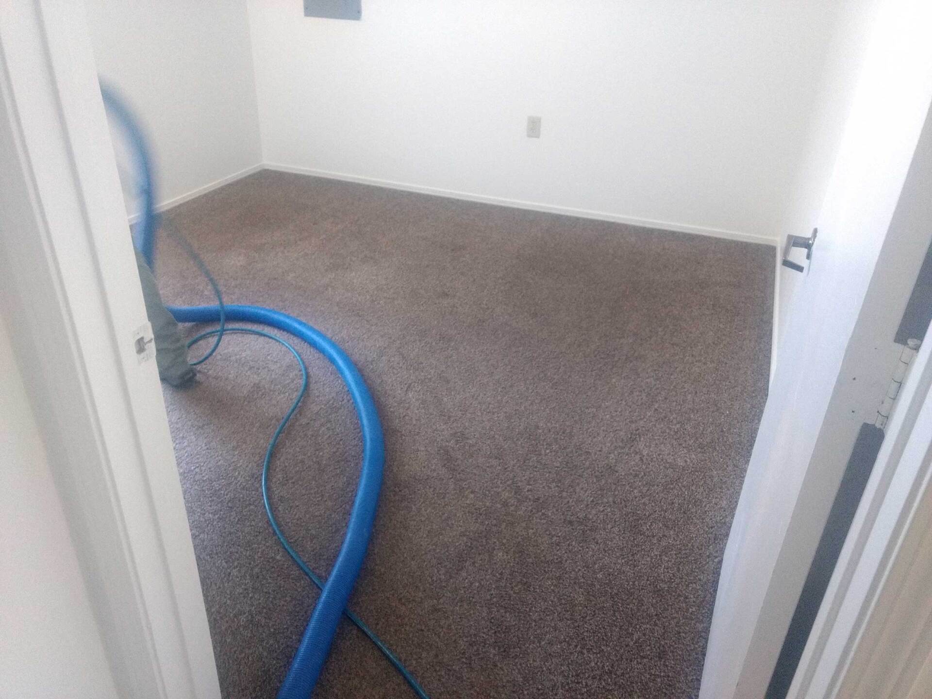 Carpet cleaning before
