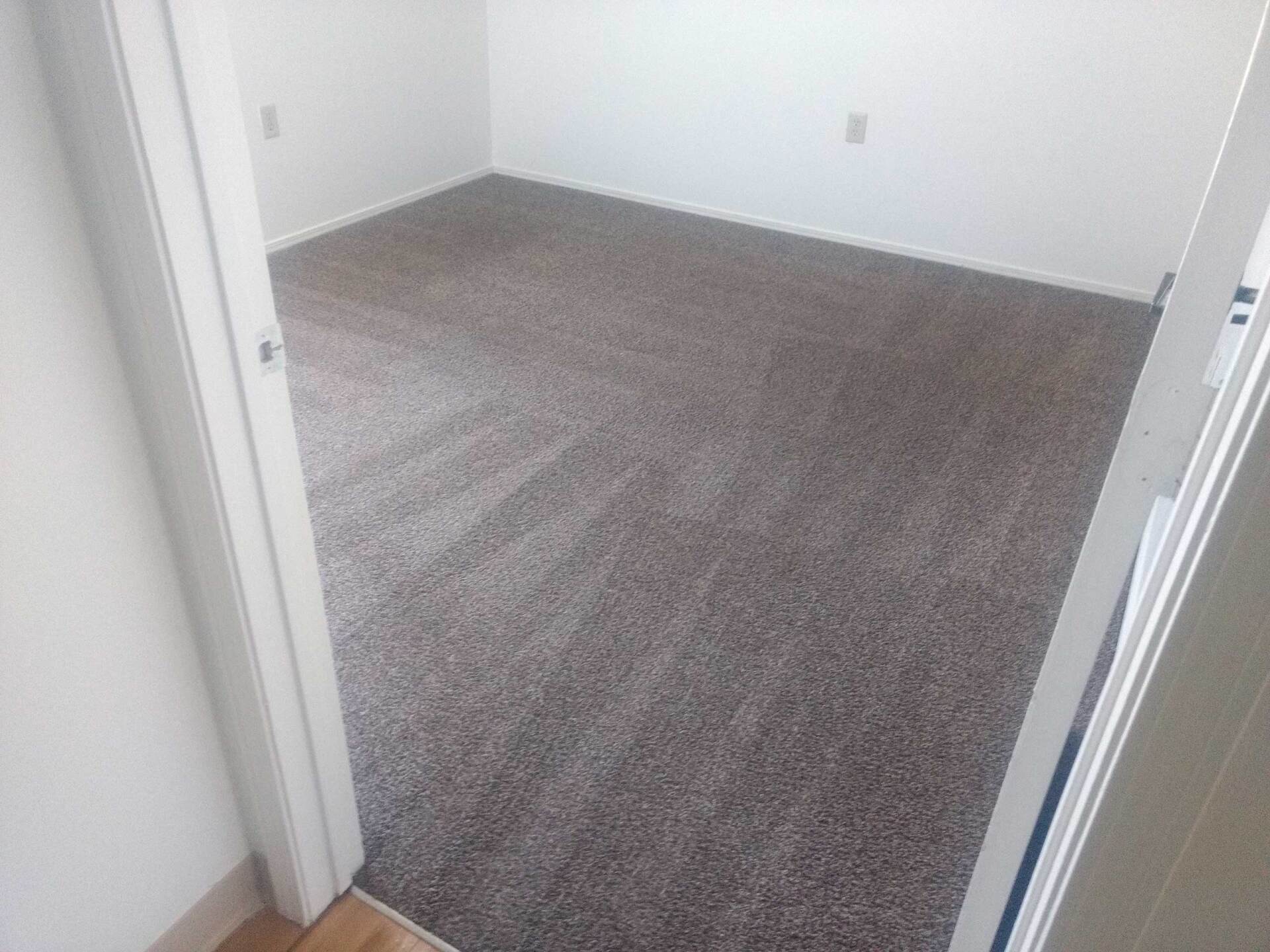 Carpet cleaning after