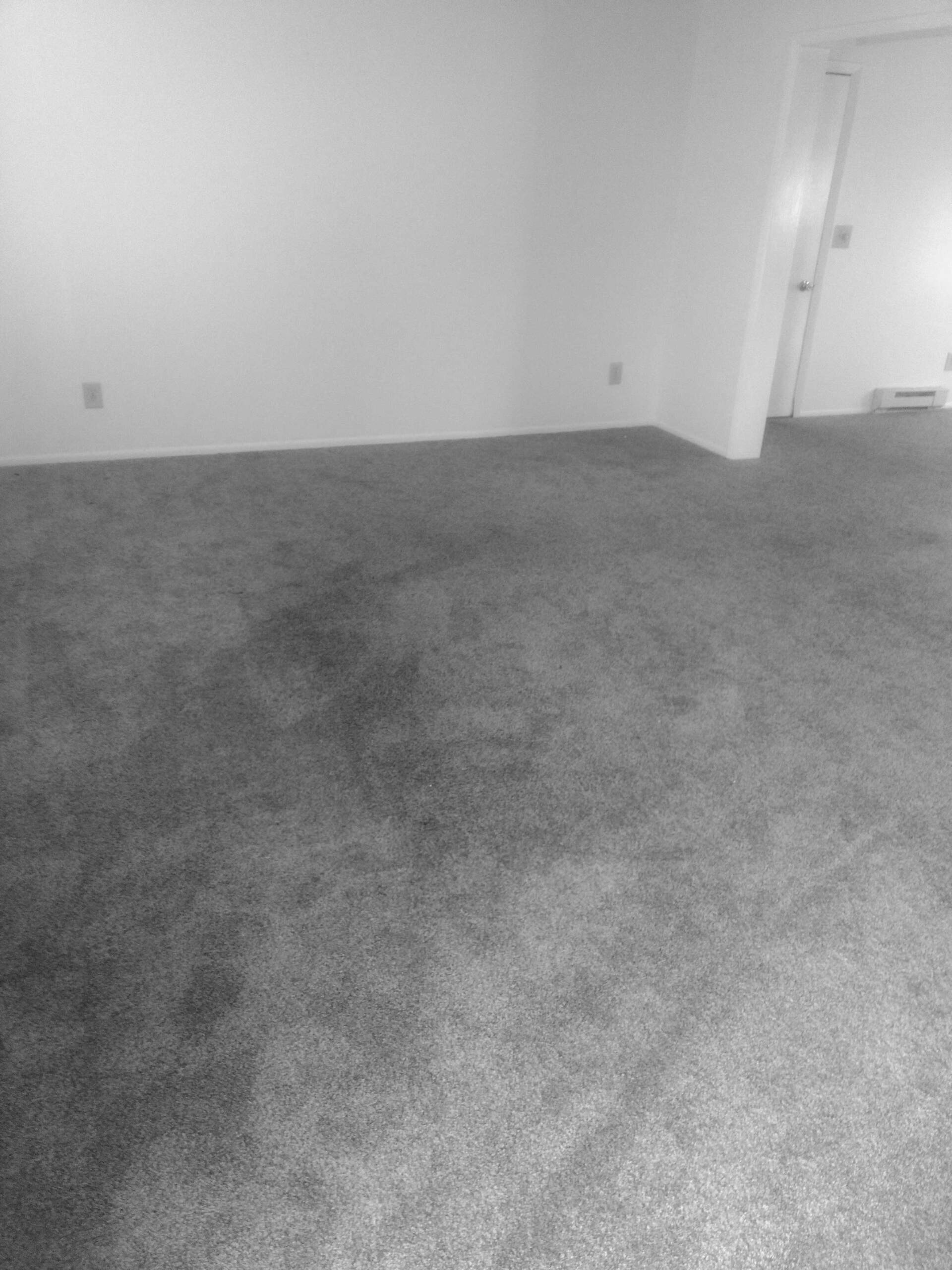 Carpet cleaning before