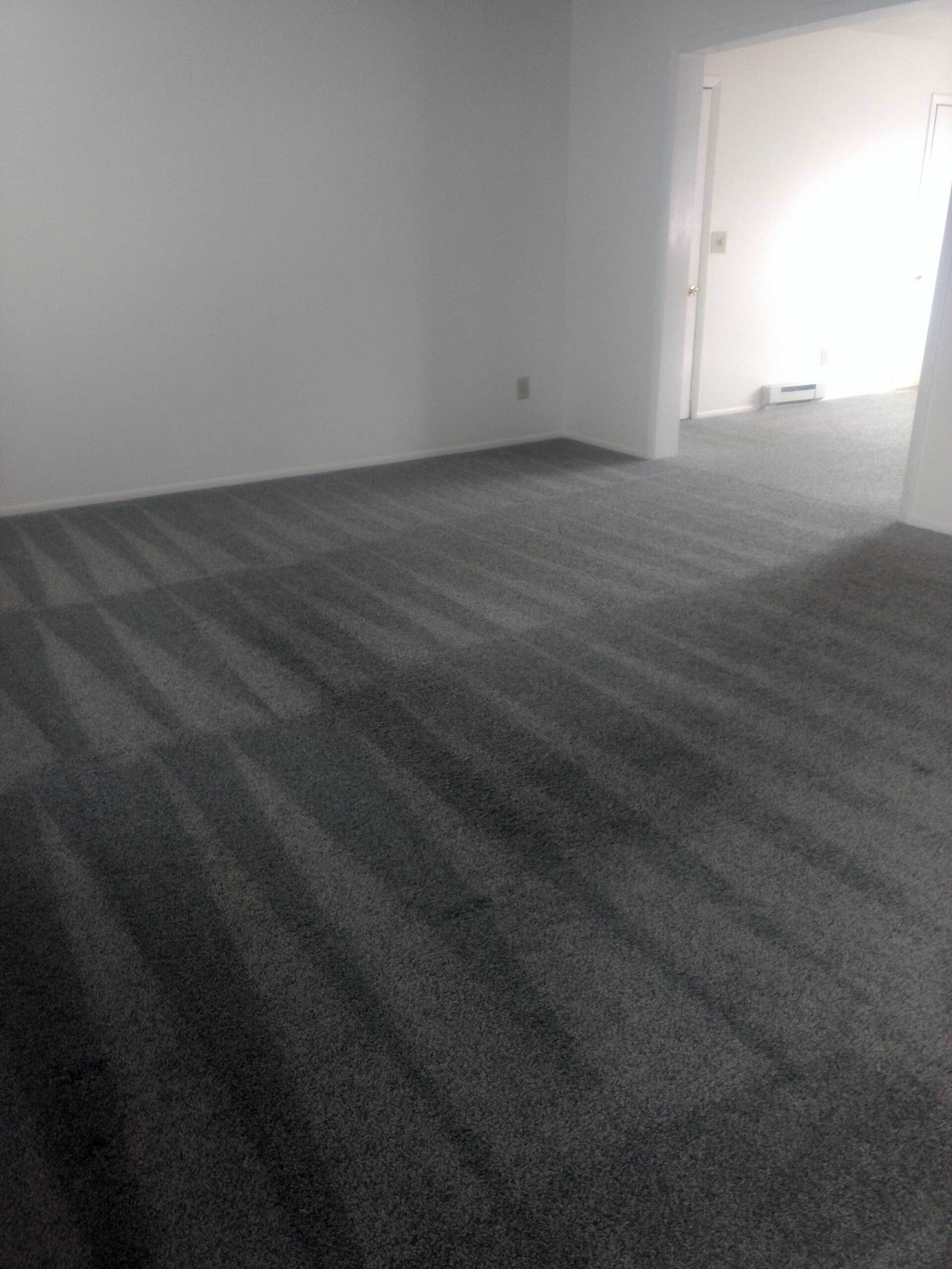 Carpet cleaning after