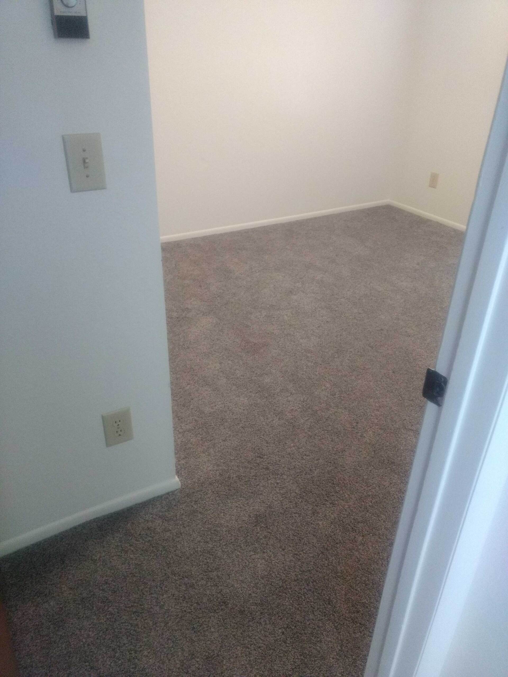 Carpet cleaning before