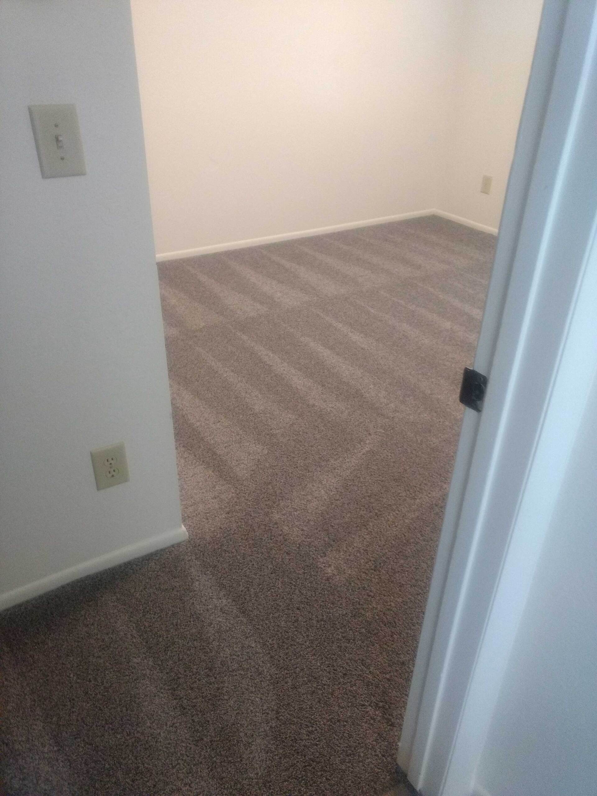 Carpet cleaning after