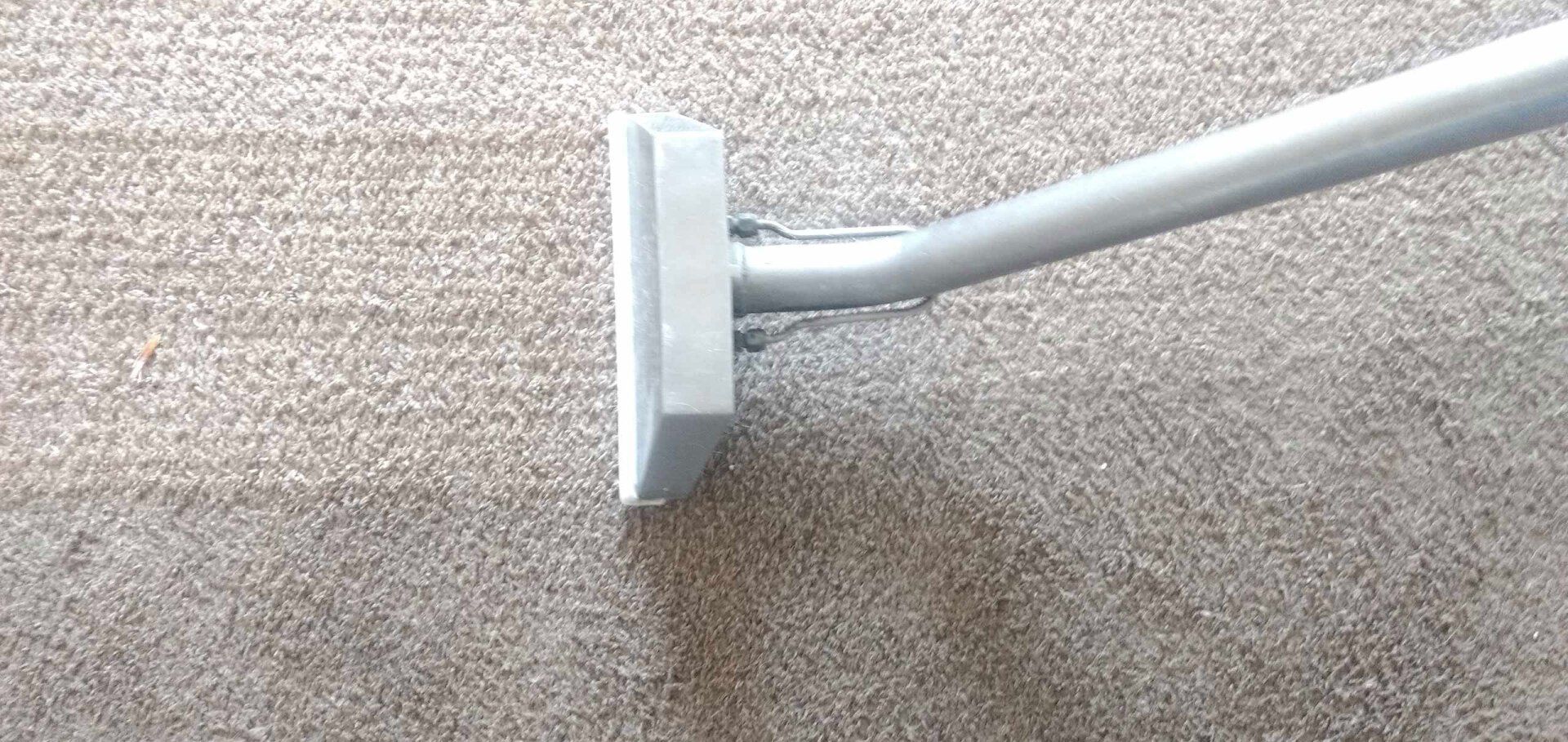 Carpet Cleaning