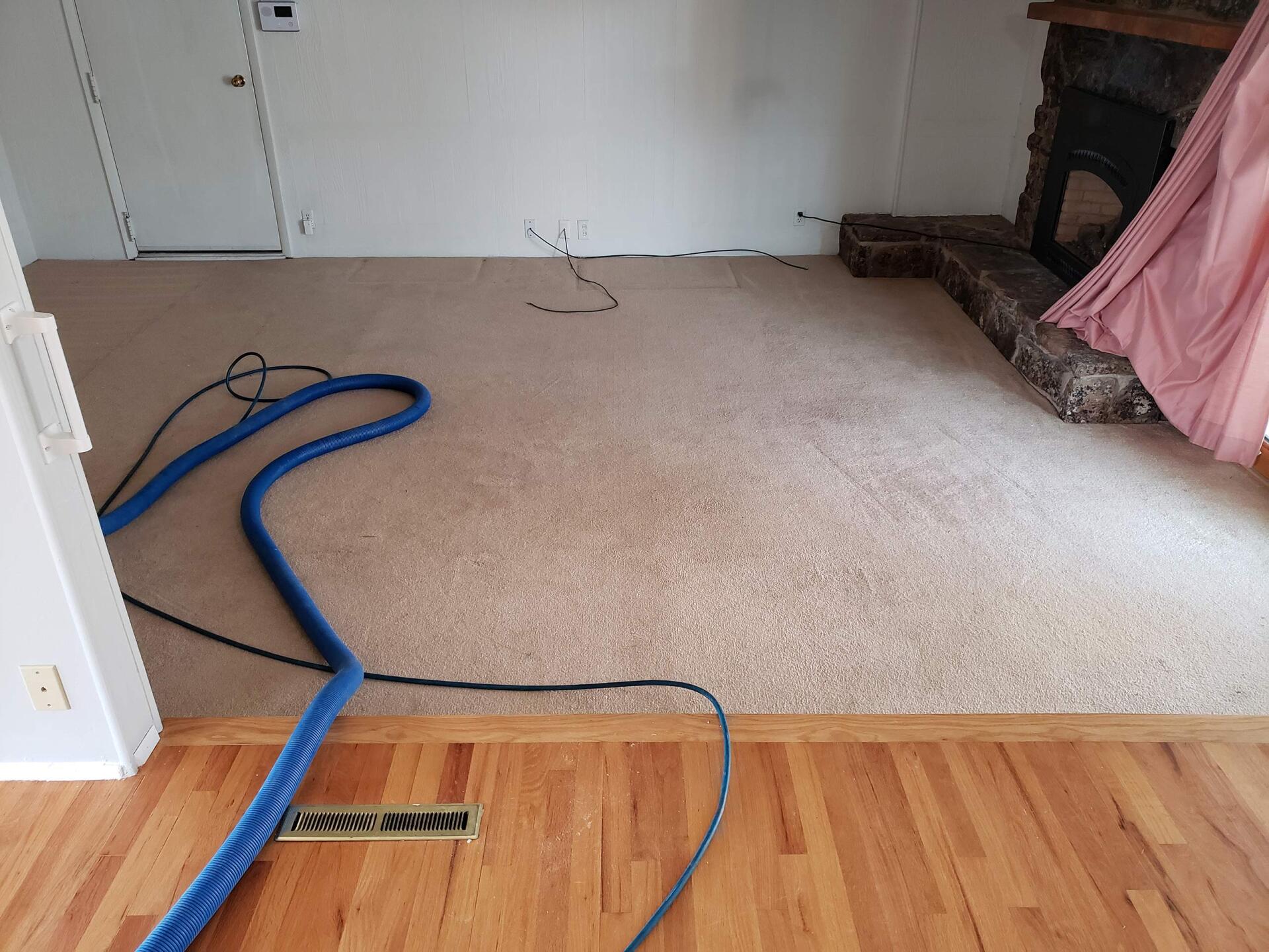 Carpet cleaning before