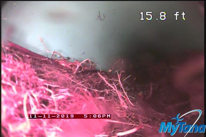 A close up of a pink object with the number 15.8 ft on the bottom