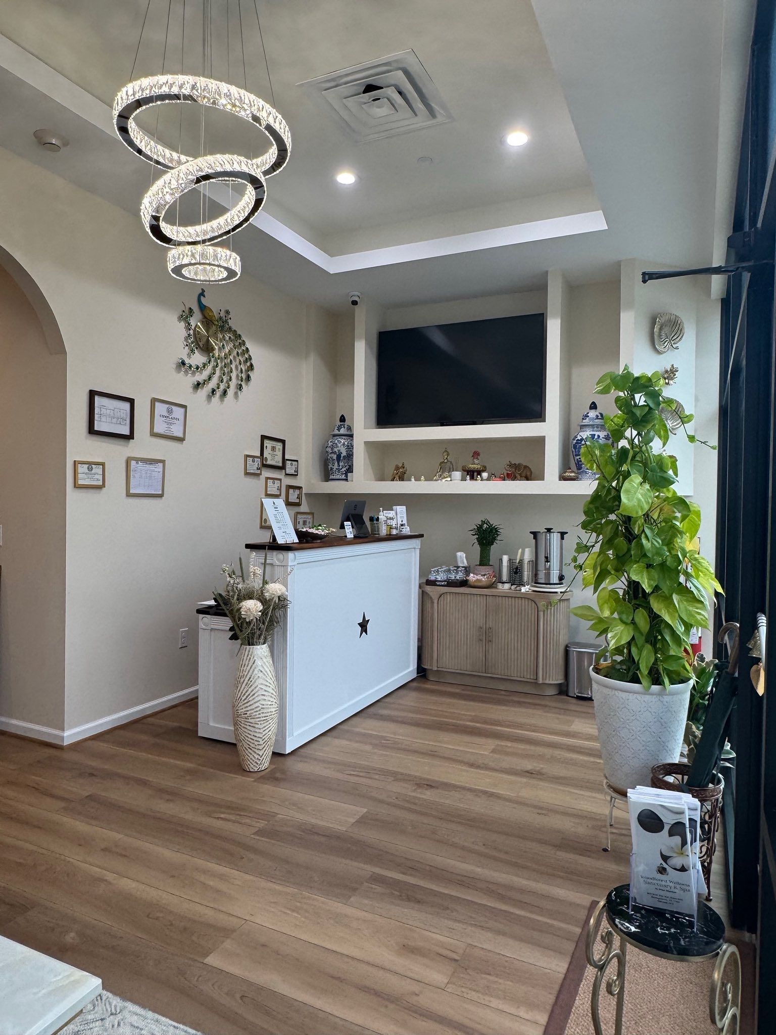 Reception area: white desk, TV, decorative lighting, hardwood floor, plants, framed art.