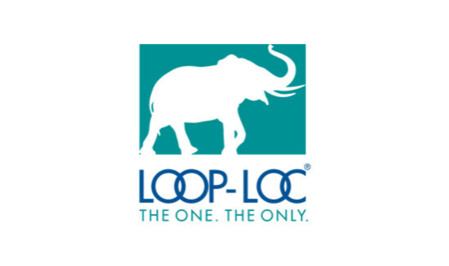 White elephant silhouette in teal square. 