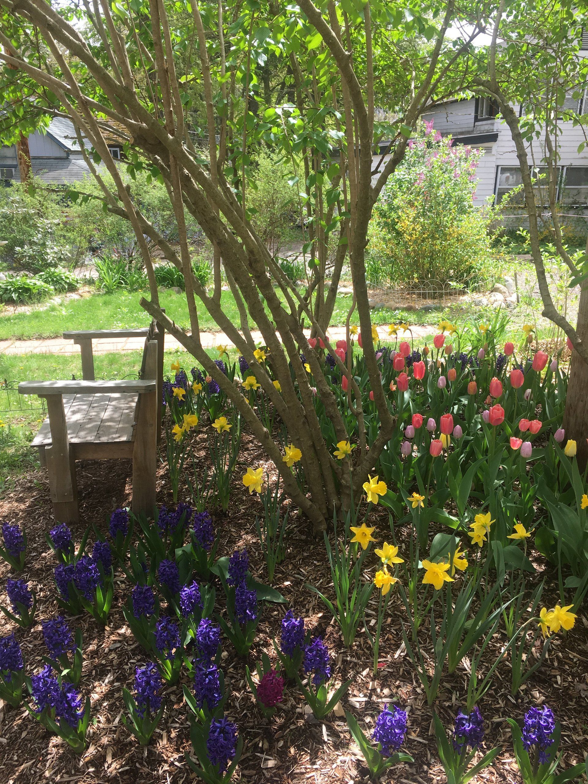 Ethan's Eden Landscape and Design, LLC image