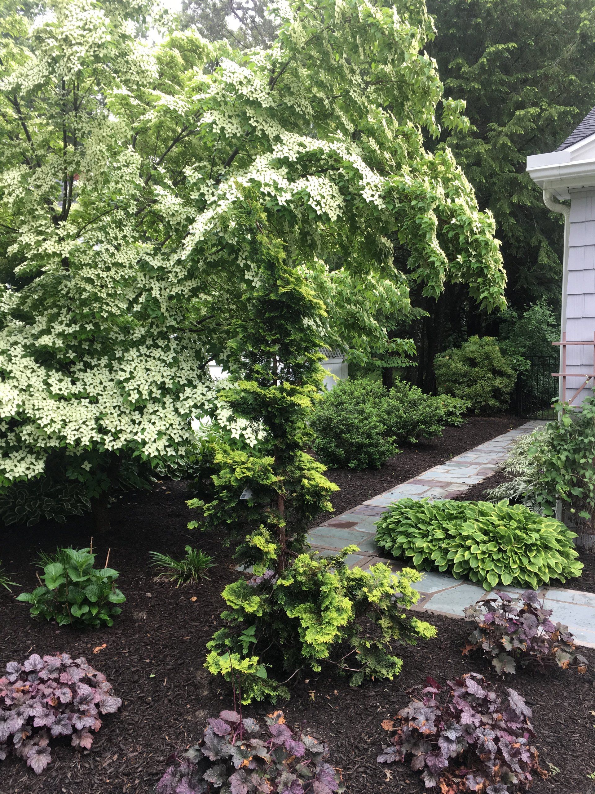 Ethan's Eden Landscape and Design, LLC image