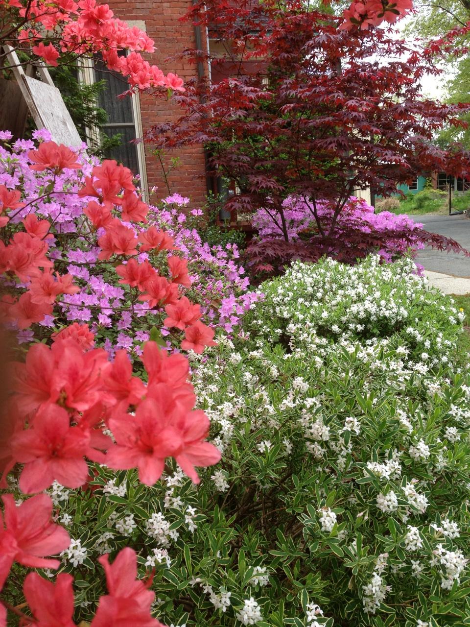 Ethan's Eden Landscape and Design, LLC image