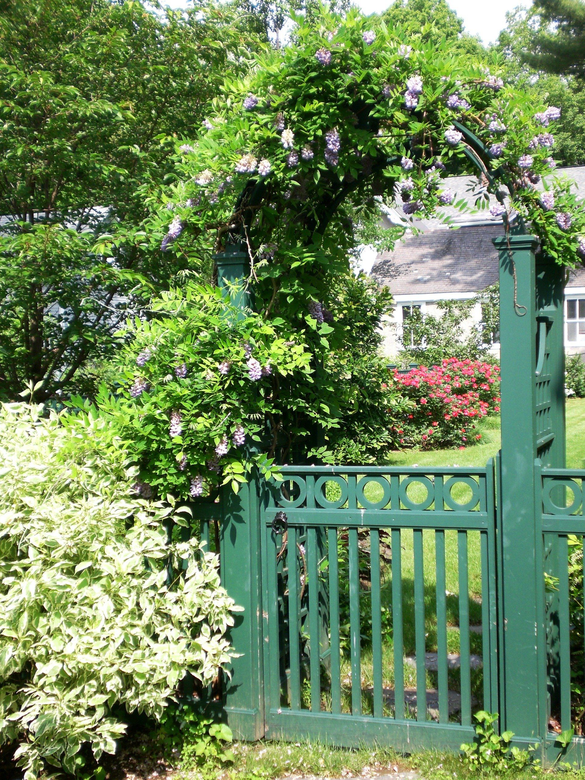 Ethan's Eden Landscape and Design, LLC image