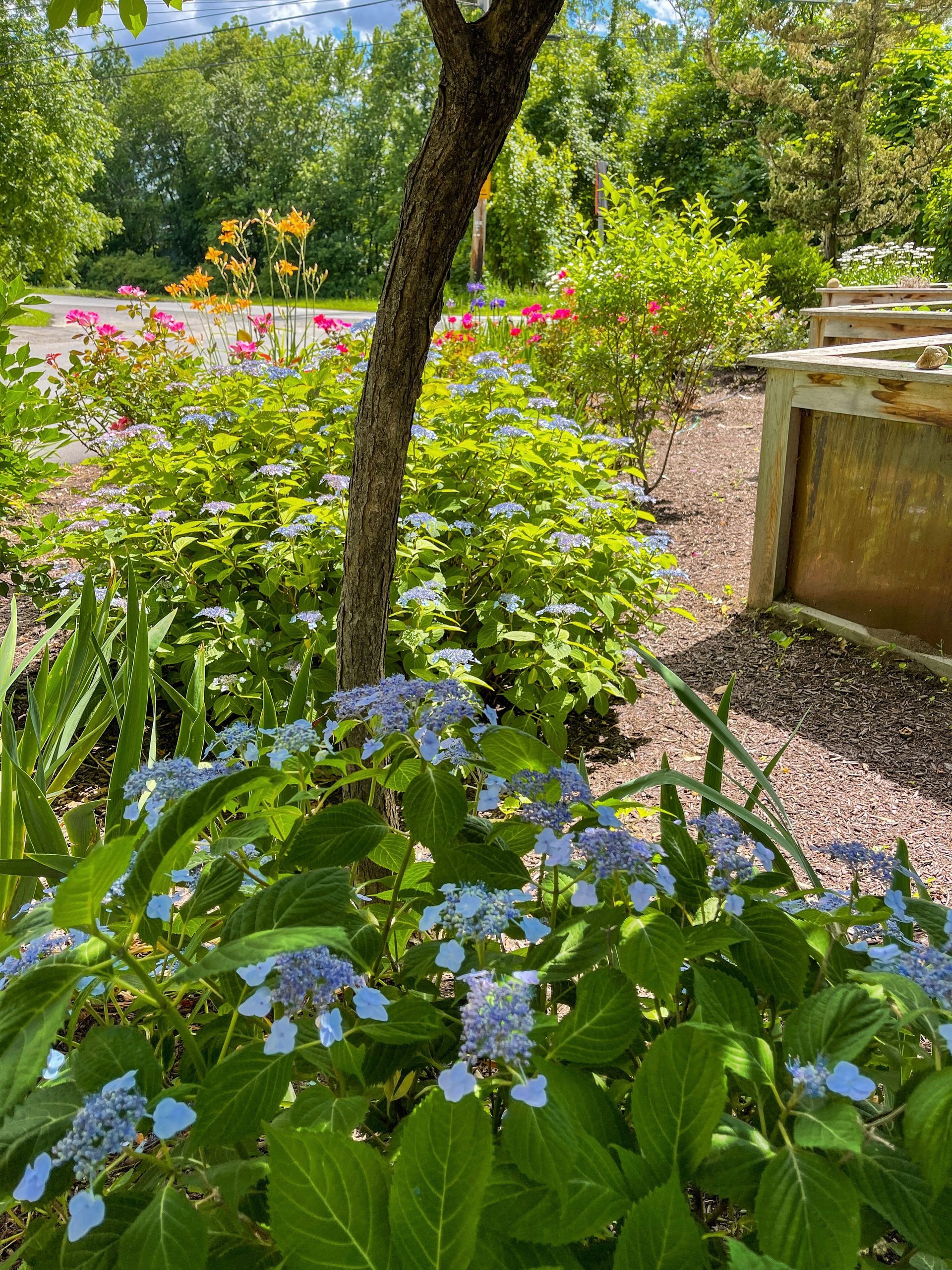 Ethan's Eden Landscape and Design, LLC image