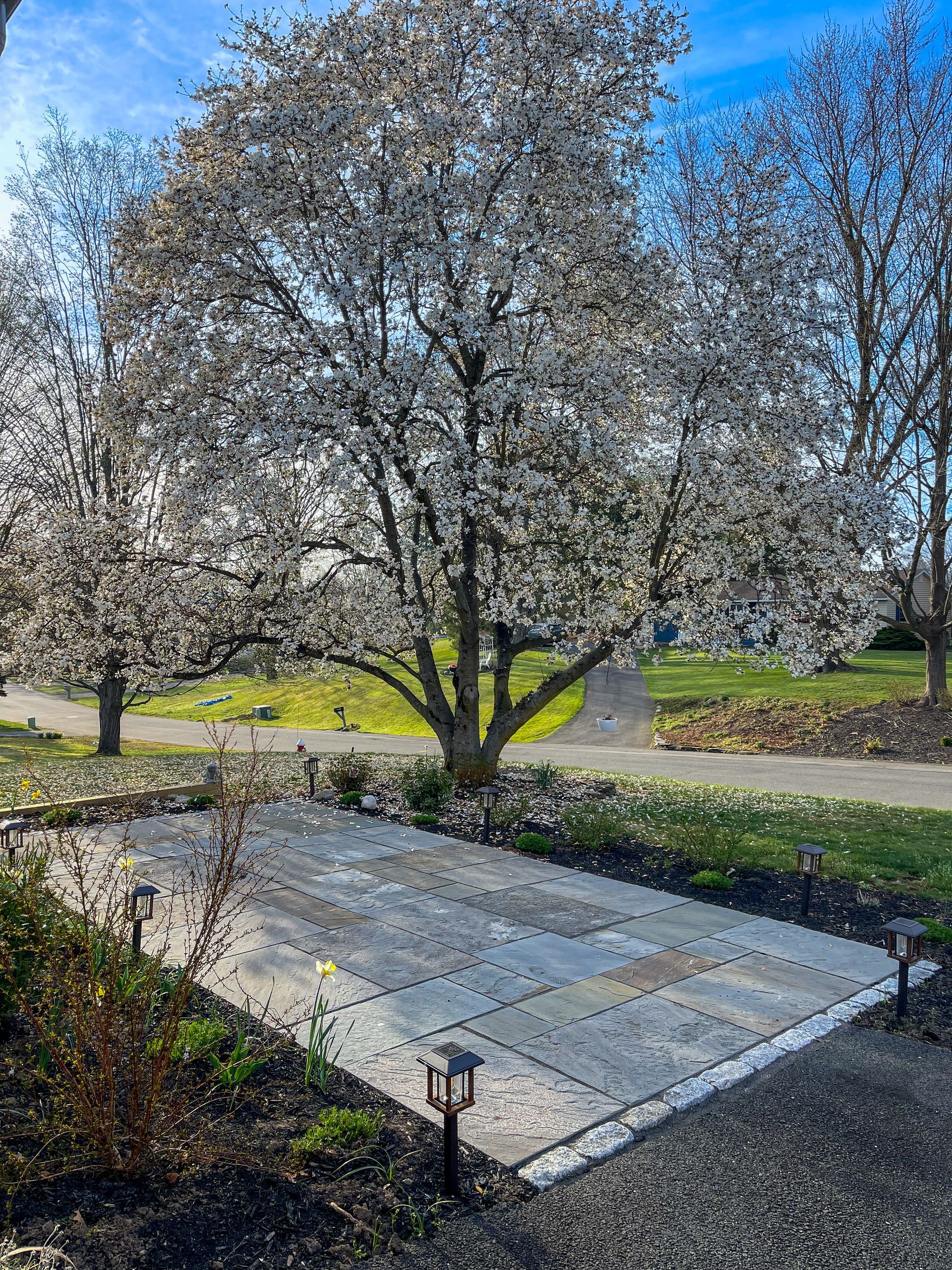 Bluestone with cobblestone border patio in Hadley MA