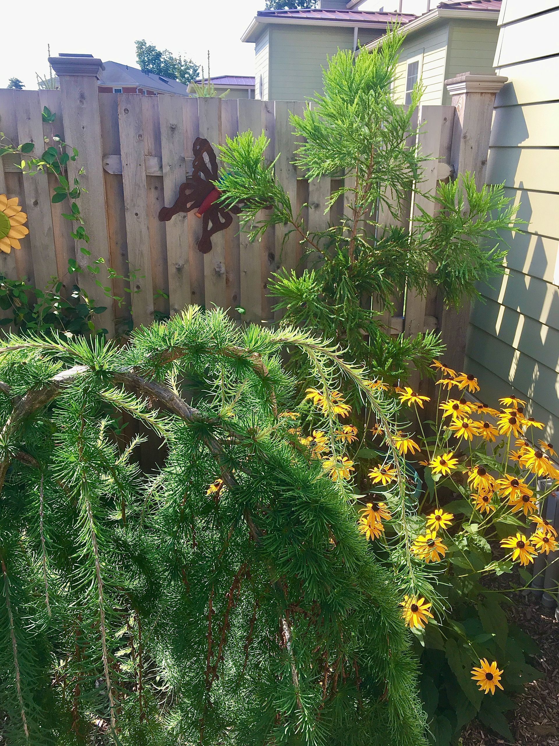 Ethan's Eden Landscape and Design, LLC image