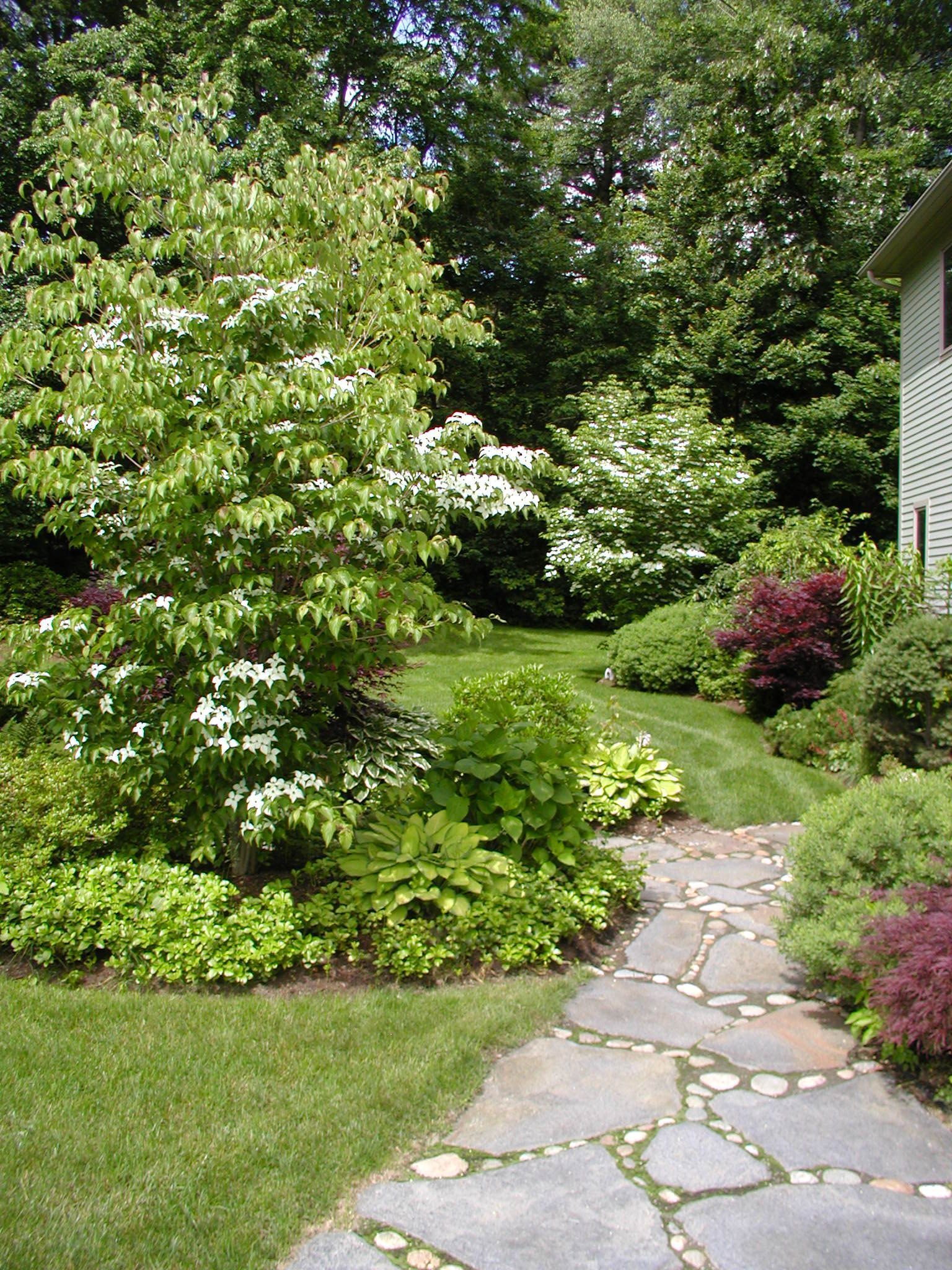 a stone pathway leading to a backyard with well-maintained lawn, plants, and trees 