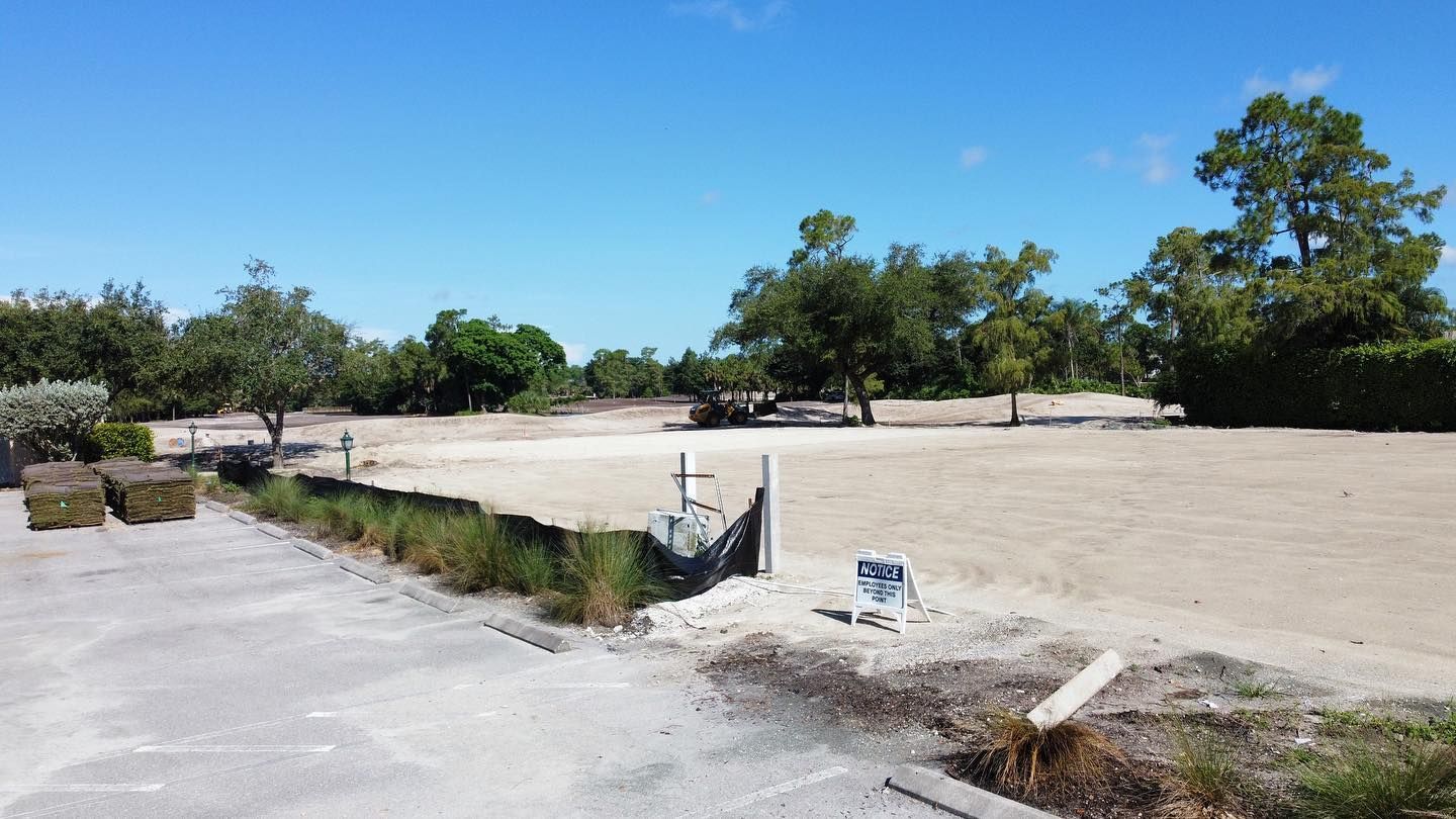Empty paved lot beside sandy ground with scattered trees under a clear blue sky