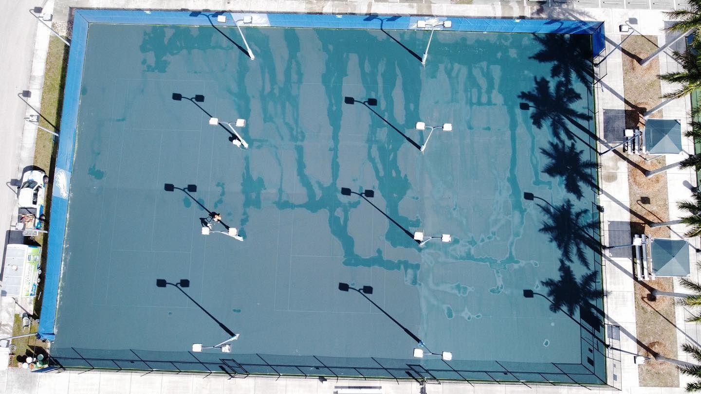 Aerial view of a blue swimming pool with lounge chairs and palm tree shadows around it