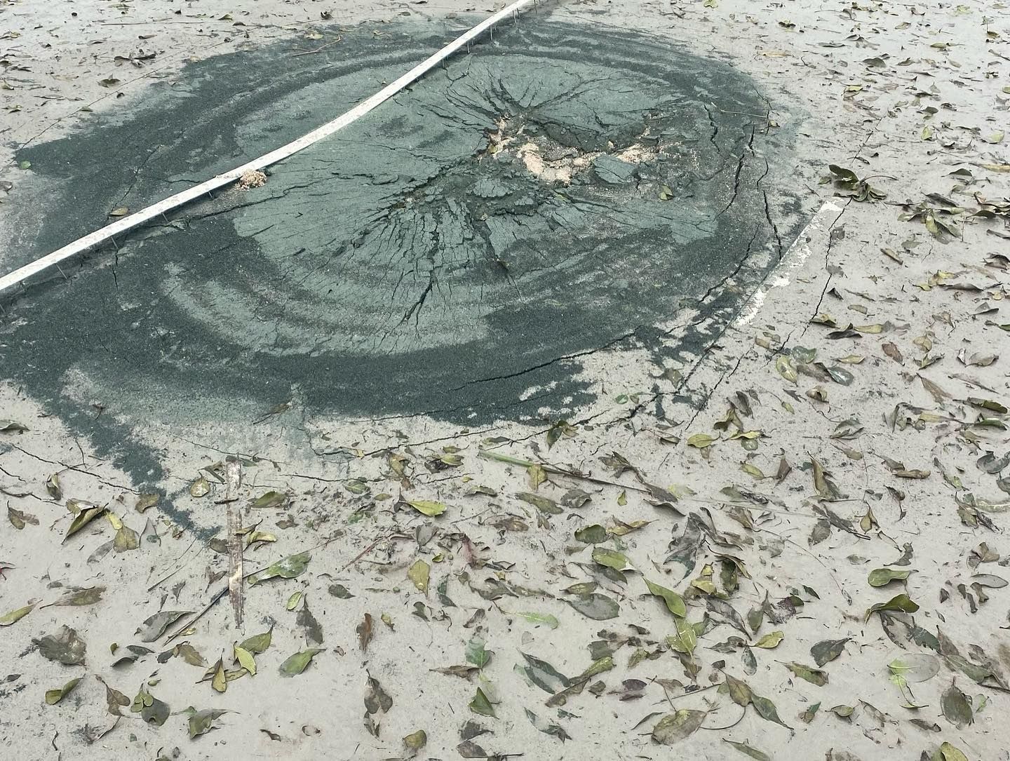 A dark green fishnet or tarp partially buried in wet sand with scattered leaves nearby