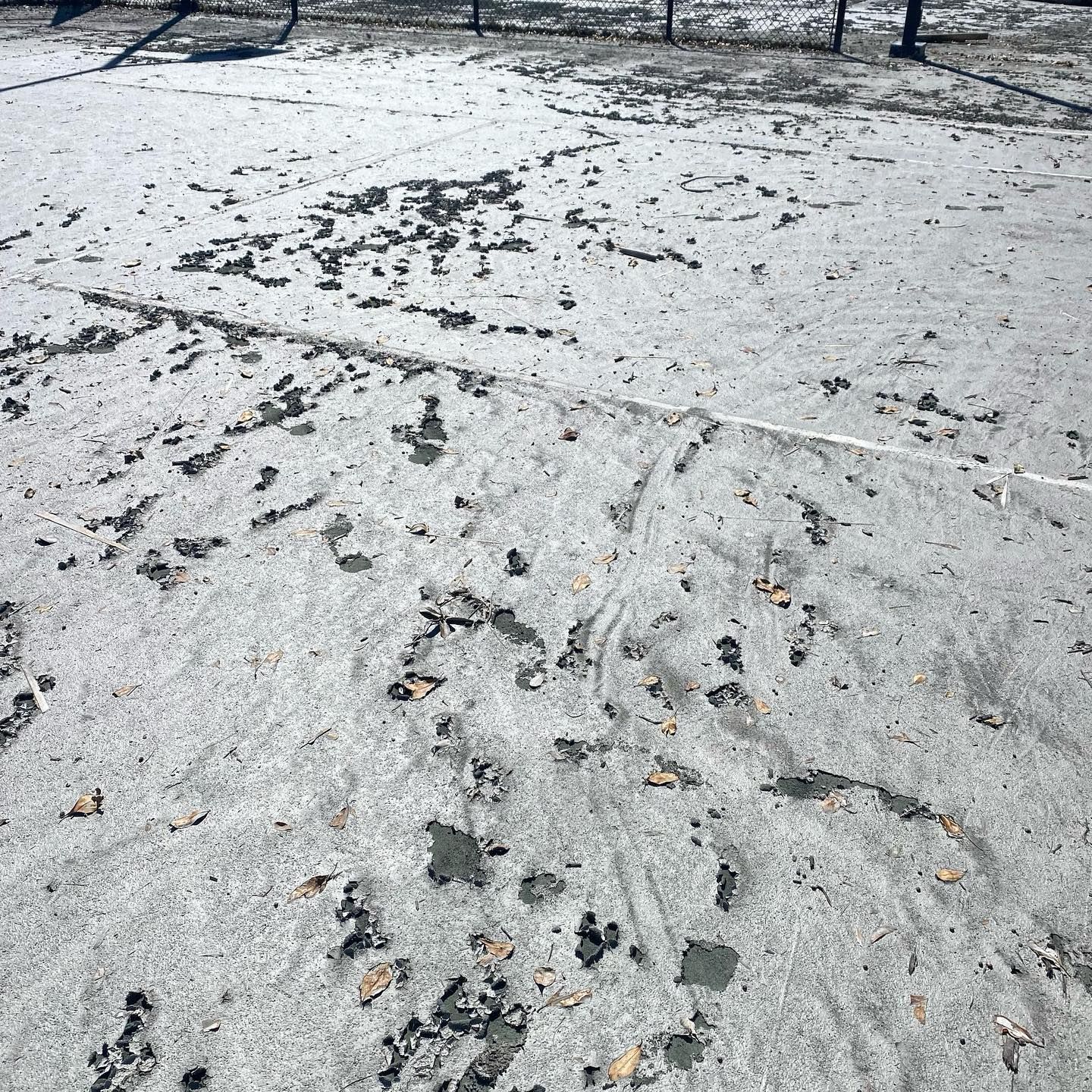 Snow-dusted concrete ground with scattered leaves and tire marks in an outdoor area