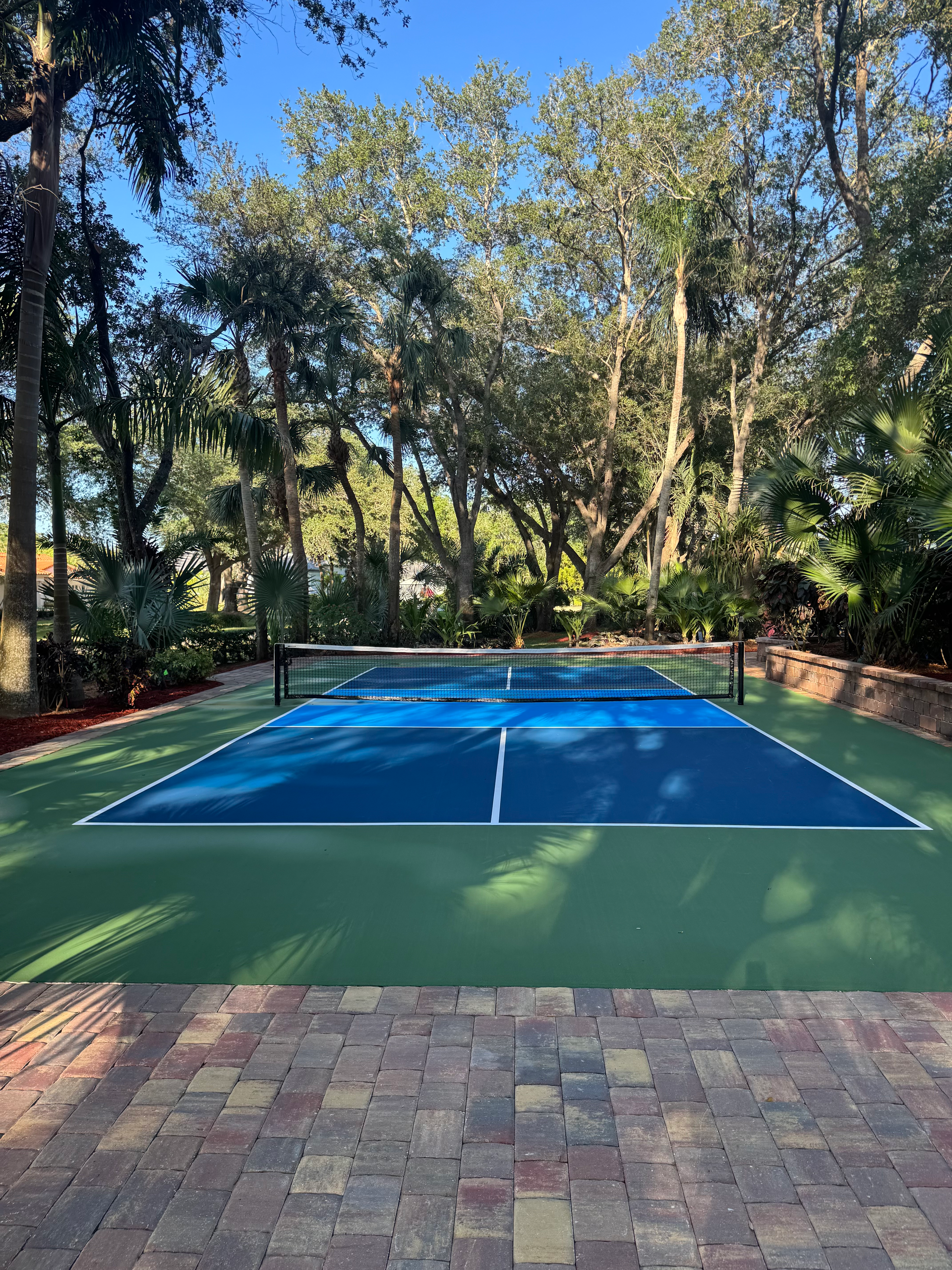 Empty blue tennis court surrounded by trees and greenery in a park-like setting