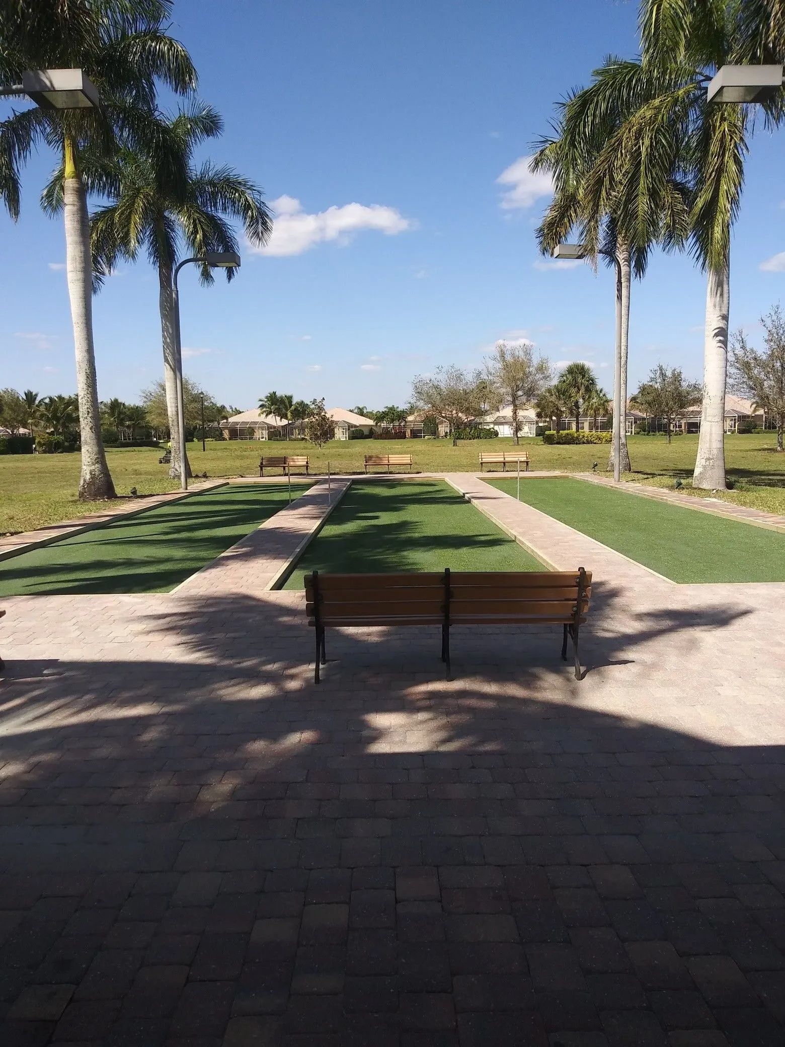 Sunny park walkway with palm trees and benches under a clear blue sky
