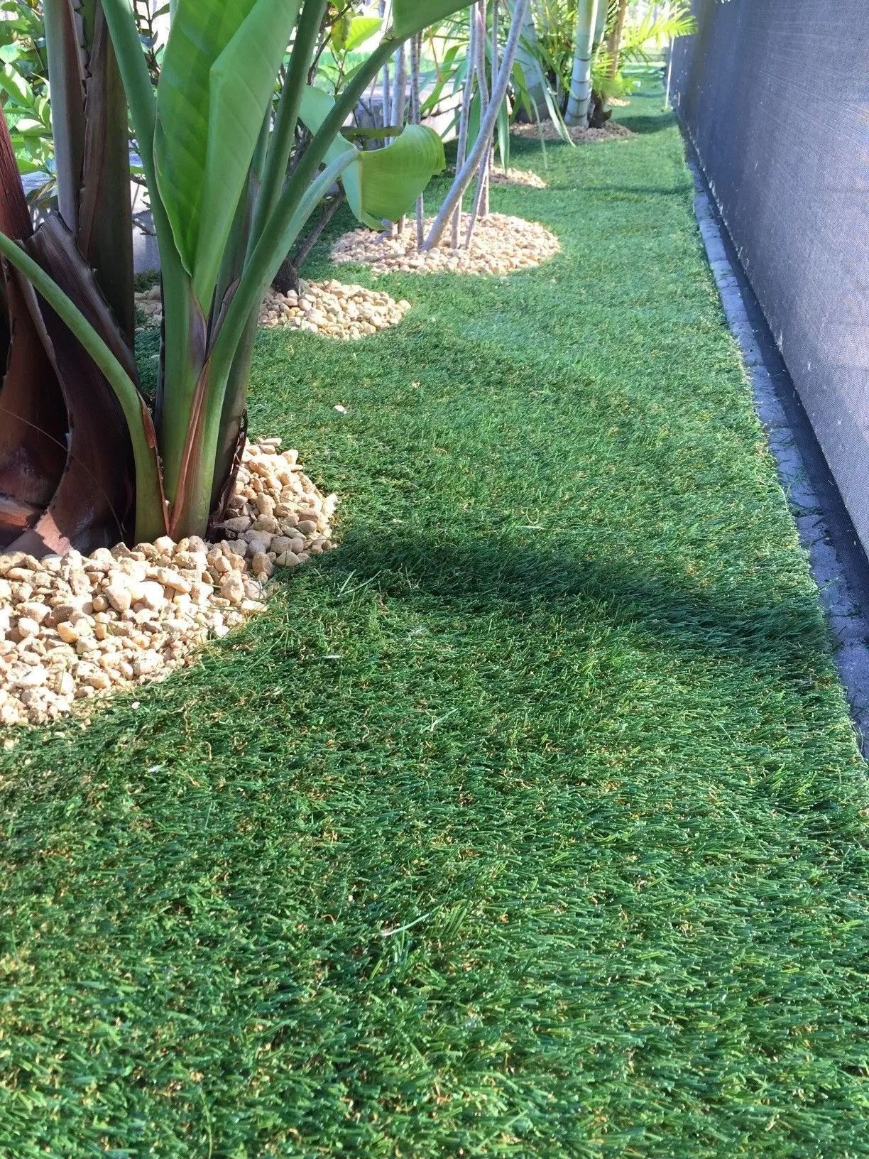 Neatly landscaped strip with green grass, agave plants, and a gray wall along the right side.