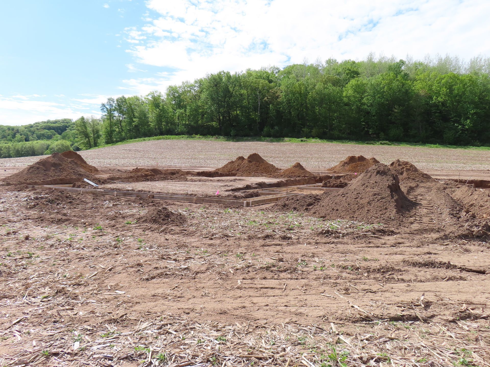 Muddy dirt lot with scattered soil piles beside a line of green trees under a blue sky