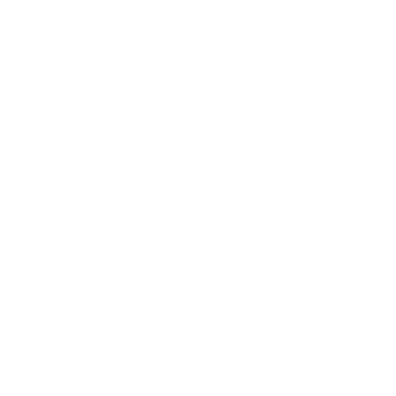 Ruger Logo