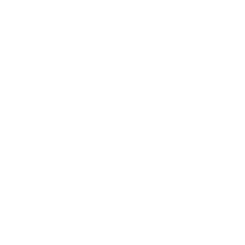 Taurus Logo