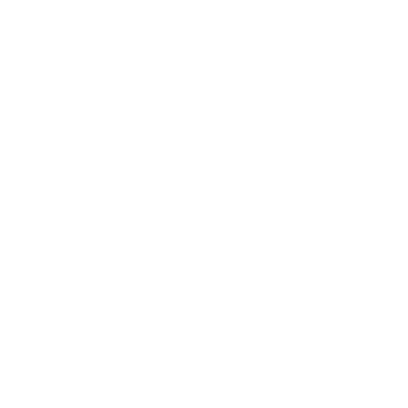 Savage Arms Logo