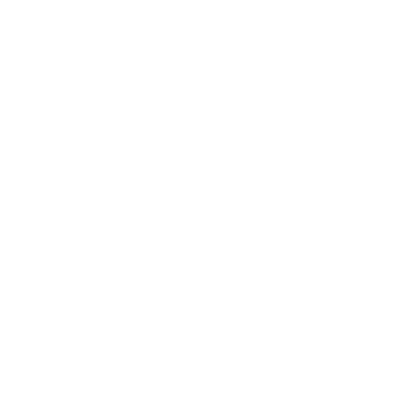 Smith & Wesson Logo