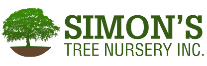 Simon's tree Nursery Logo