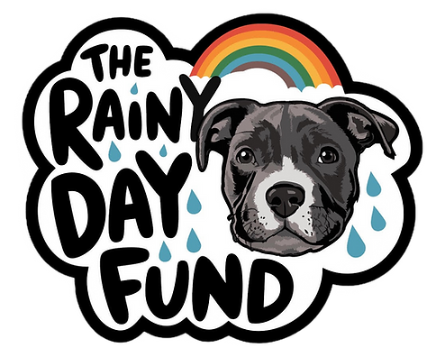 “The Rainy Day Fund” text with a gray dog, rainbow, and raindrops on a white background