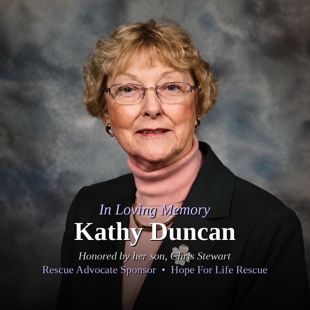 Memorial portrait with the text “In Loving Memory Kathy Duncan” on a gray background