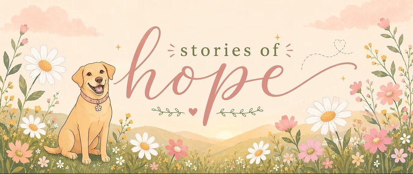 Hope-themed illustration with a golden dog in a flower meadow and the words “stories of hope”
