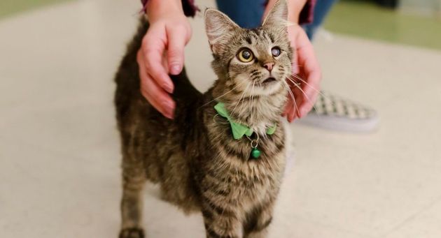 hope-for-life-rescue