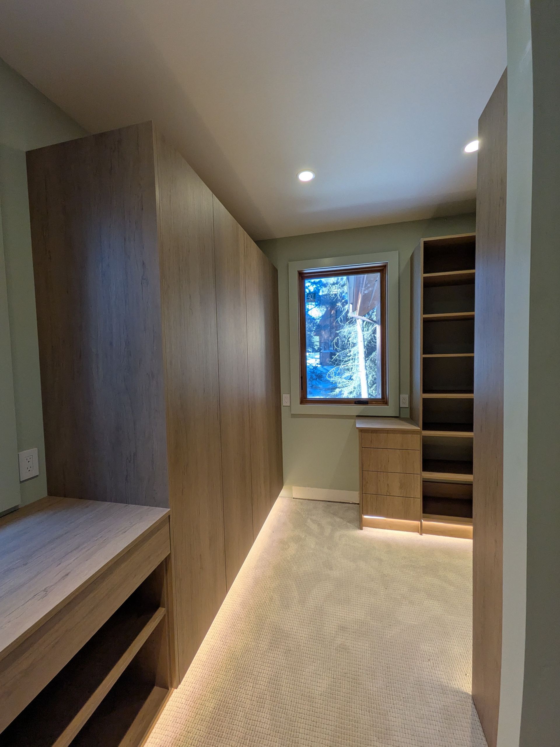 Narrow bedroom or closet with built-in wood storage, a window, and carpeted floor