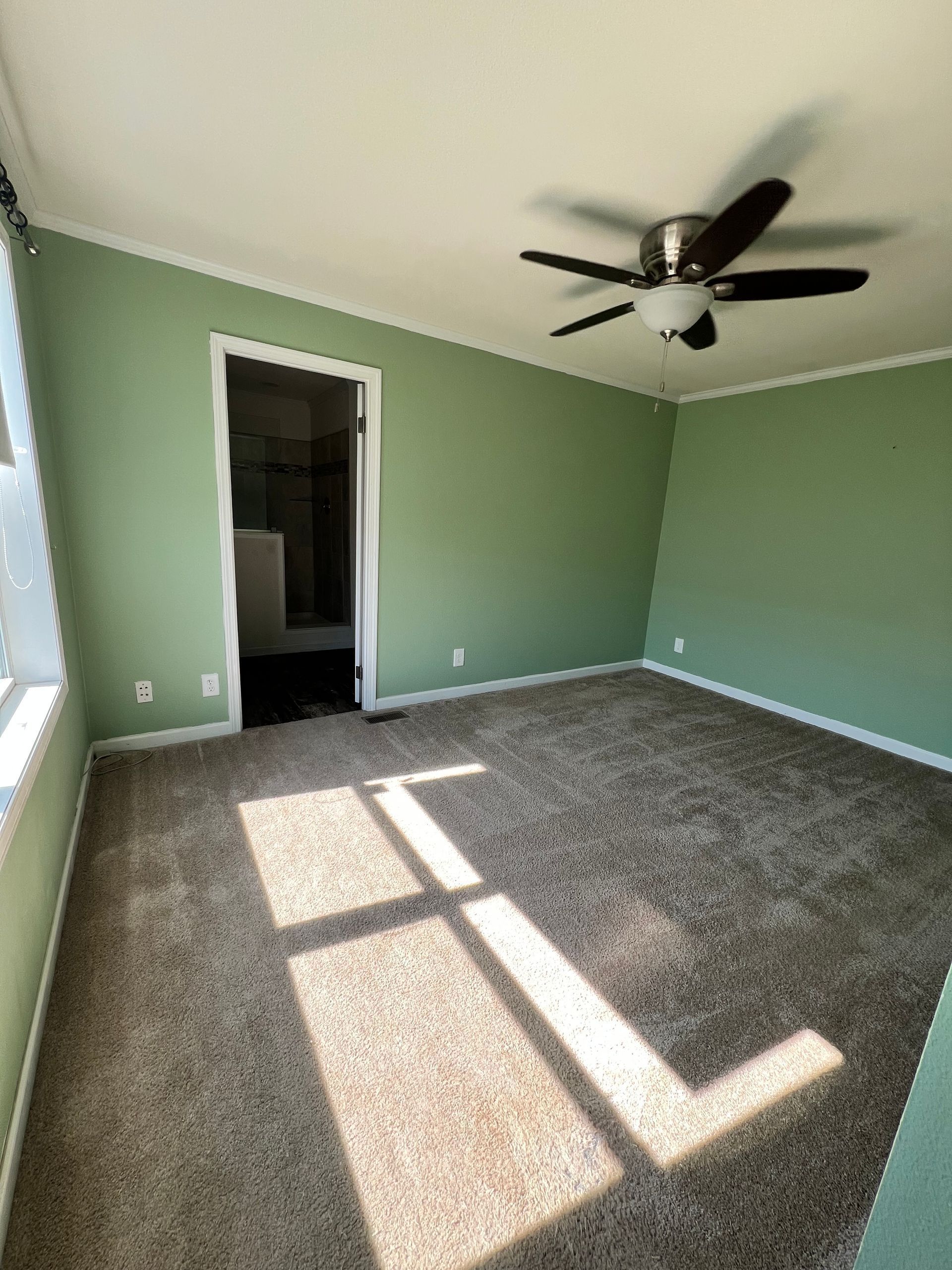 Empty room with green walls, brown carpet, white trim, a door, and a ceiling fan.