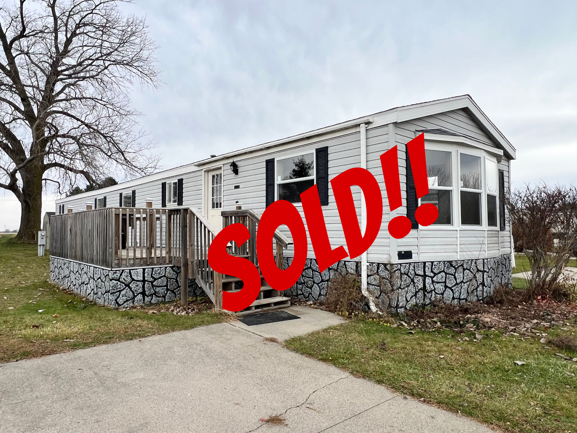 White house with light blue sky, dark pink bushes, and a concrete driveway.