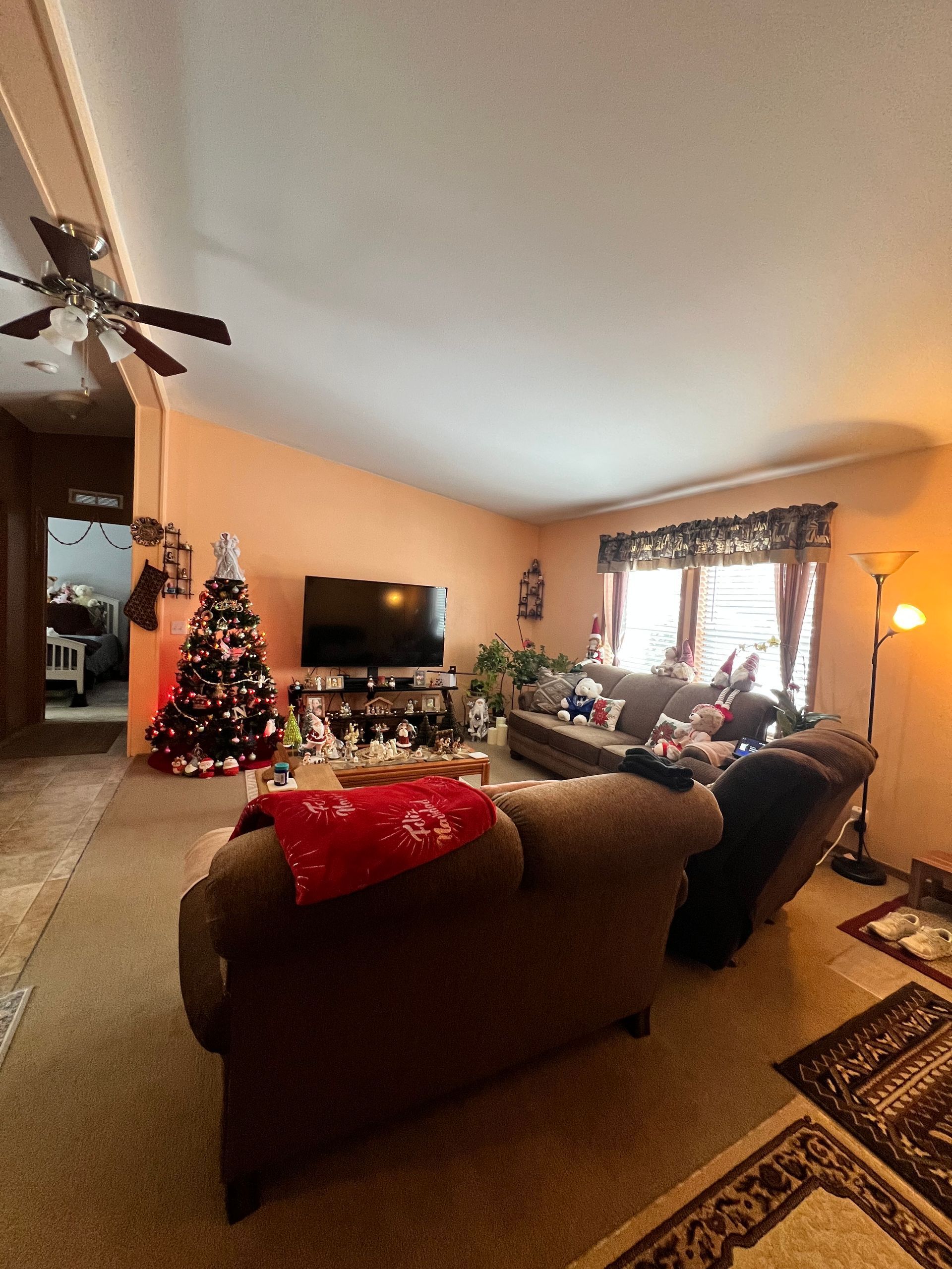 Living room with Christmas tree, TV, and two couches. Warm-toned walls and carpet; a person sits on a couch.