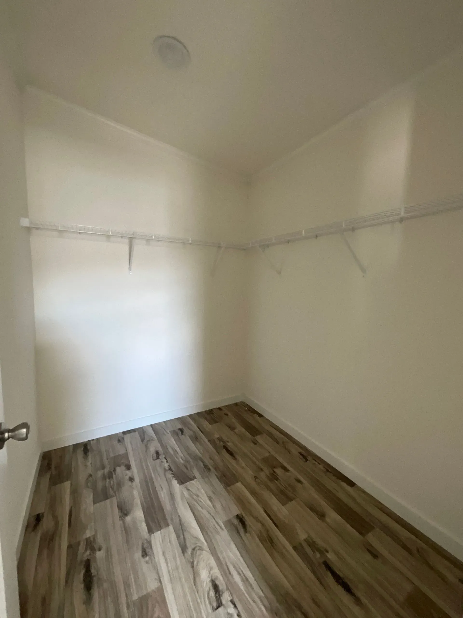 Empty closet with white walls, wood-look flooring, and a shelf.