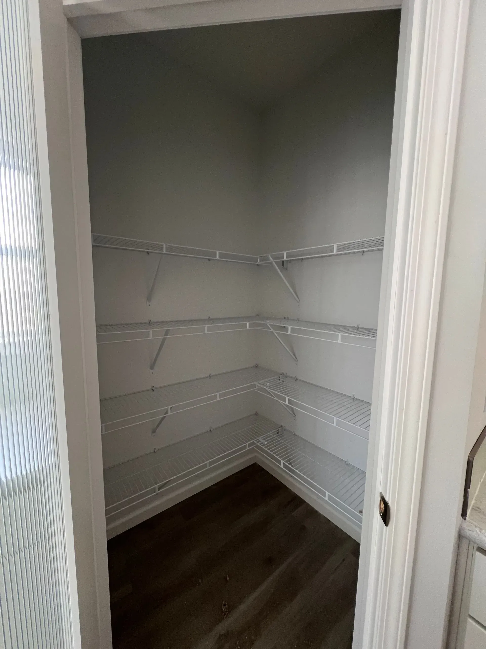 Empty white-shelved pantry with a wood-look floor. White door frame.