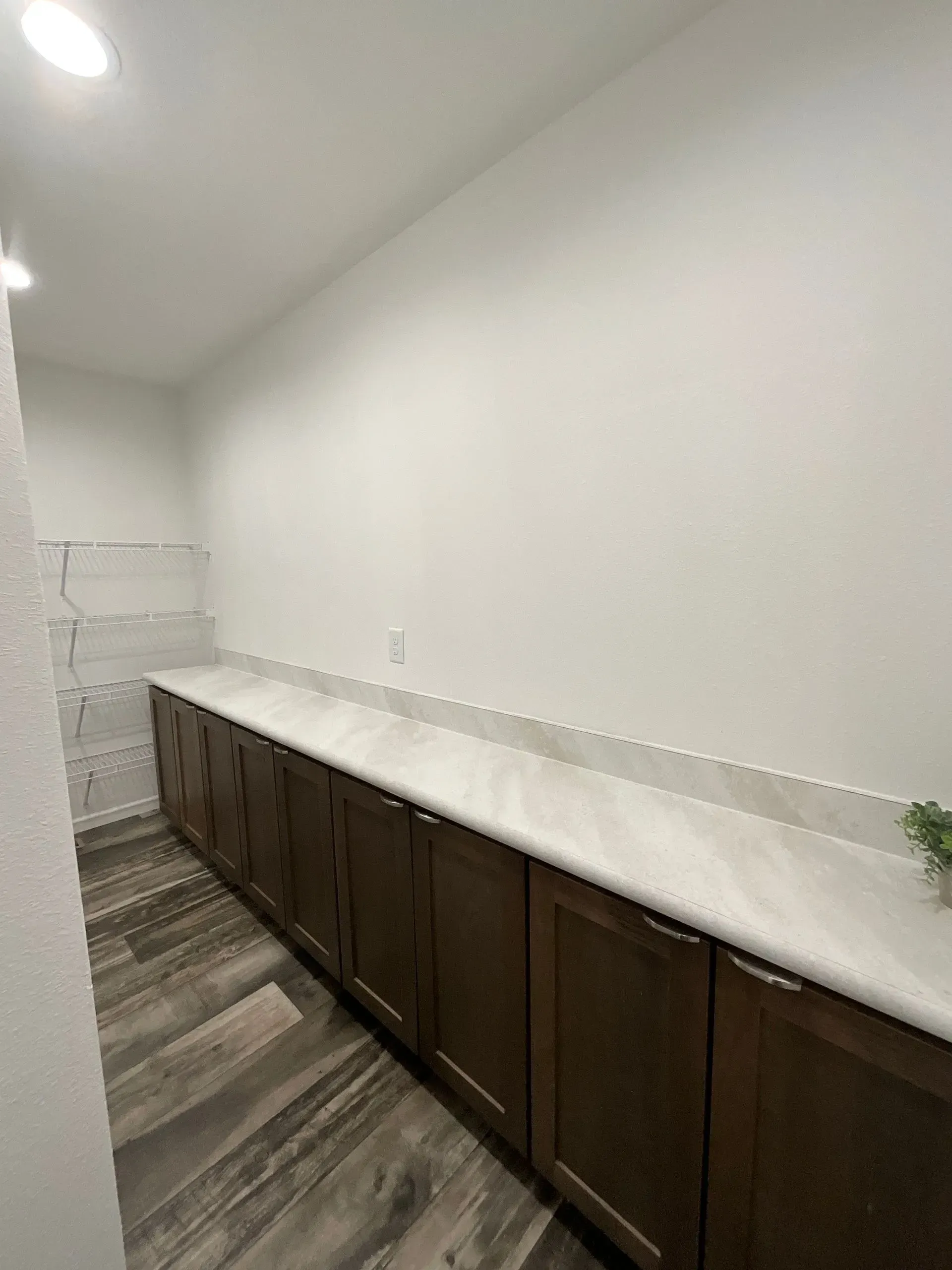 Pantry with dark brown cabinets, white countertop, and light wood-look flooring.