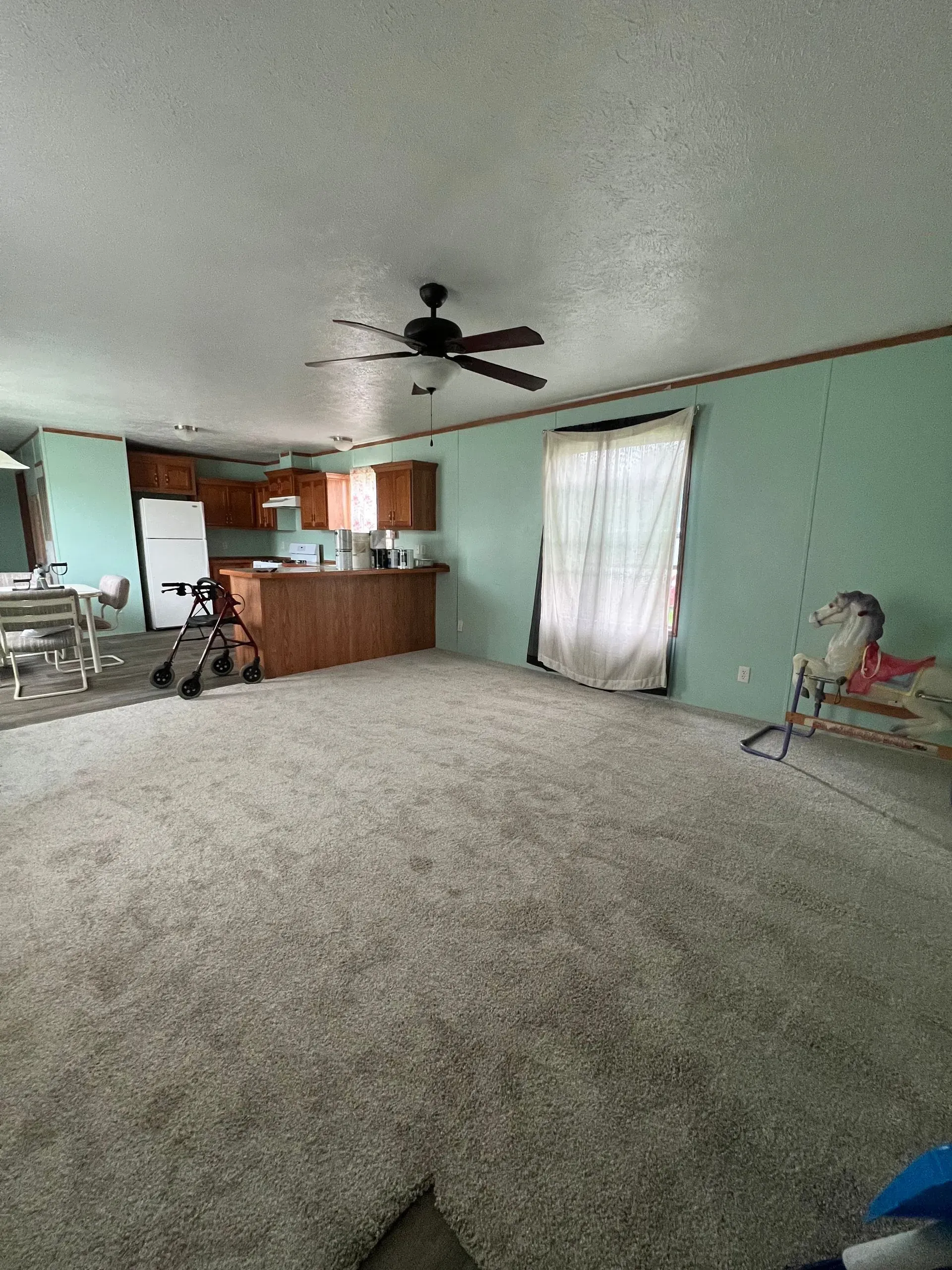 Spacious living area with carpet, kitchen, and a ceiling fan.  Light green walls.  Light shines through a window.