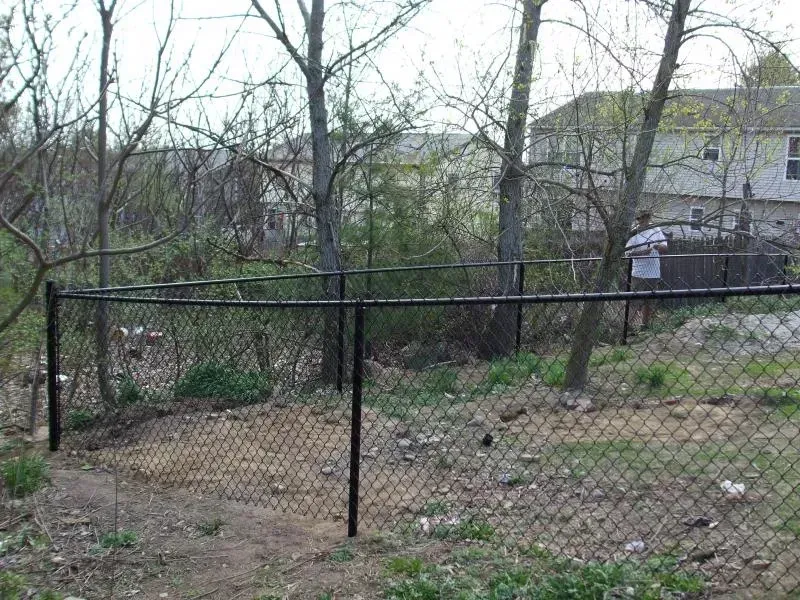 A black chain link fence is surrounded by trees and grass.