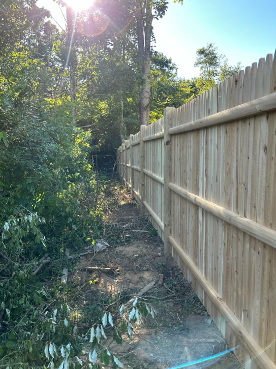 Wooden fence bordering a dirt path next to overgrown greenery under a bright sky.