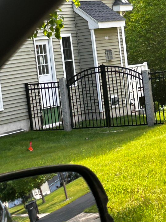 Black iron gate and fence in front of a light green house on a grassy lawn.
