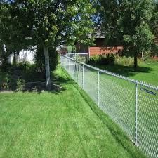 a chain link fence surrounds a lush green yard